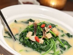 -CHIC1699远洋私厨