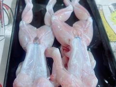 -大连海鲜斑鱼火锅(安平店)