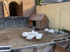 -HERRE·FARM 赫尔露营农场·团建聚会包场