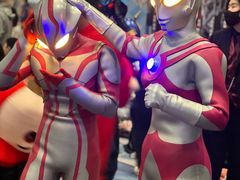 -国家会议中心大酒店