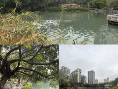 -江头公园