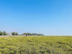 -北海金海湾红树林生态旅游区