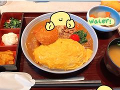 -dodonpa.墩墩伐 便当食堂(博华广场店)