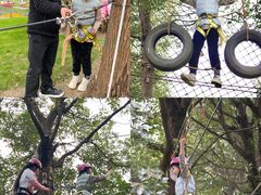 -秀丽东方