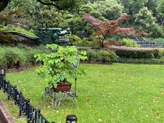 -申粤轩酒楼·三十年粤菜经典(丁香花园店)