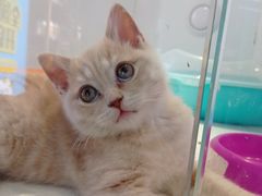 -龟与熊猫宠物公园(南坪店)