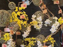 -芥岛(河北大街店)