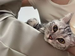 -小伙伴宠物医院•急重症转诊中心·老年专科·犬猫全科(北大街总院)