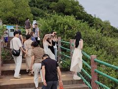 -广东惠东海龟国家级自然保护区
