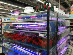 -欧尚(江阳中路店)