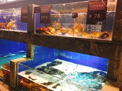 水产区-徐记海鲜(陕西历史博物馆|明德门店)