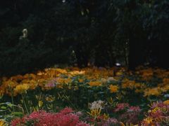 -杭州植物园