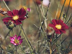 -南京中医药大学(仙林校区)