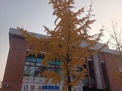 -85度C(生甜甜圈研究工坊·上海局门店)