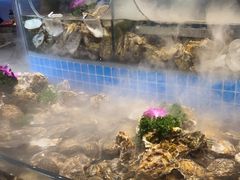 -千家粗粮王(MOMOPARK店)