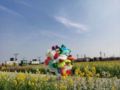 -中国天府农业博览园