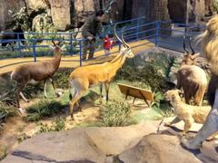 -陕西自然博物馆