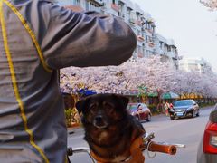 -永乐路-路侧停车场
