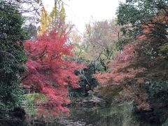 -秋霞圃