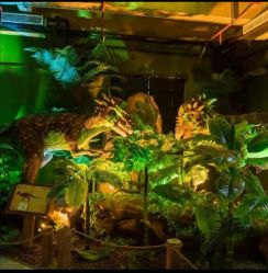 -恐龙探索乐园(磁器口店)