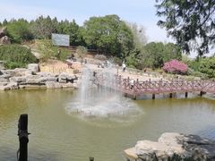 -北京西山国家森林公园