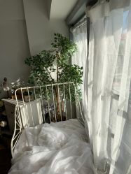 -小矮人专业儿童摄影(宜家店)