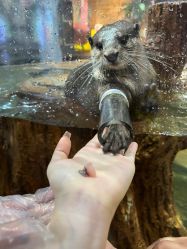 -Zoolung Zoolung动物主题公园(海信广场店)