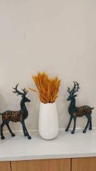 -北京嘉禾医疗