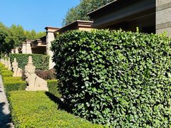 -春晖园度假酒店温泉