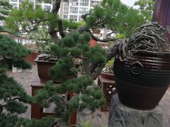 -天堂鸟快捷酒店(泰州大学城店)