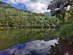 -洛阳白云山景区