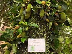 -伊萨娜印尼餐馆
