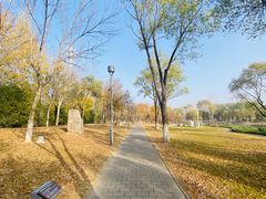 -延庆地质公园博物馆