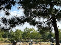 -莫子山公园