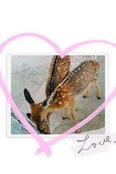 -萌宠亲子动物乐园(槐房万达店)