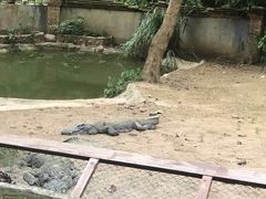 -清迈夜间动物园