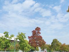 -秀沿路地铁站停车场