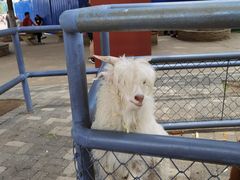 -长白岛森林公园