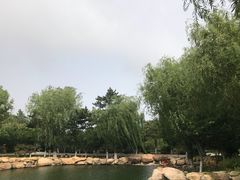 -石岛赤山风景区