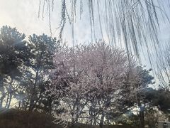 -团结湖公园