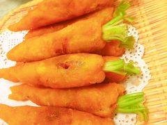 -丁老爷子苏香圆