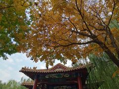 -南翠屏公园