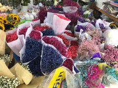 -三圣花乡旅游区