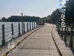 -溱湖国家湿地公园