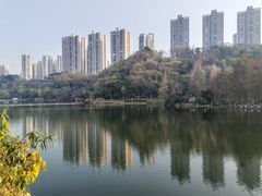 -重庆彩云湖湿地公园
