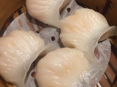 -金唐海鲜酒家