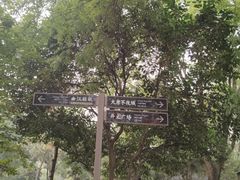 -唐城墙遗址公园