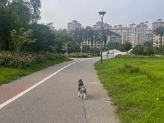 -马家湾湿地公园