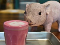 -WHEN PIGS FLY当猪飞