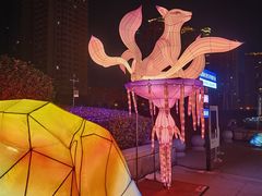 -陕西自然博物馆